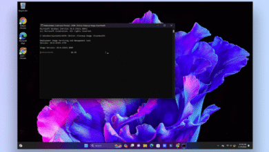 dism /online /cleanup-image /restorehealth